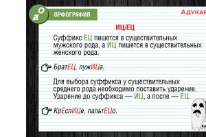 Todas as regras padrão da língua russa