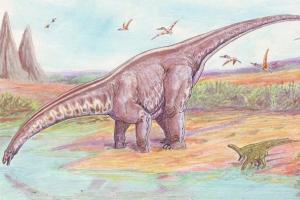 Os dinossauros são divididos em dois grupos principais.