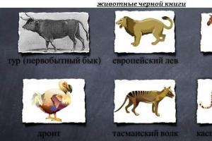 Lista de animais extintos